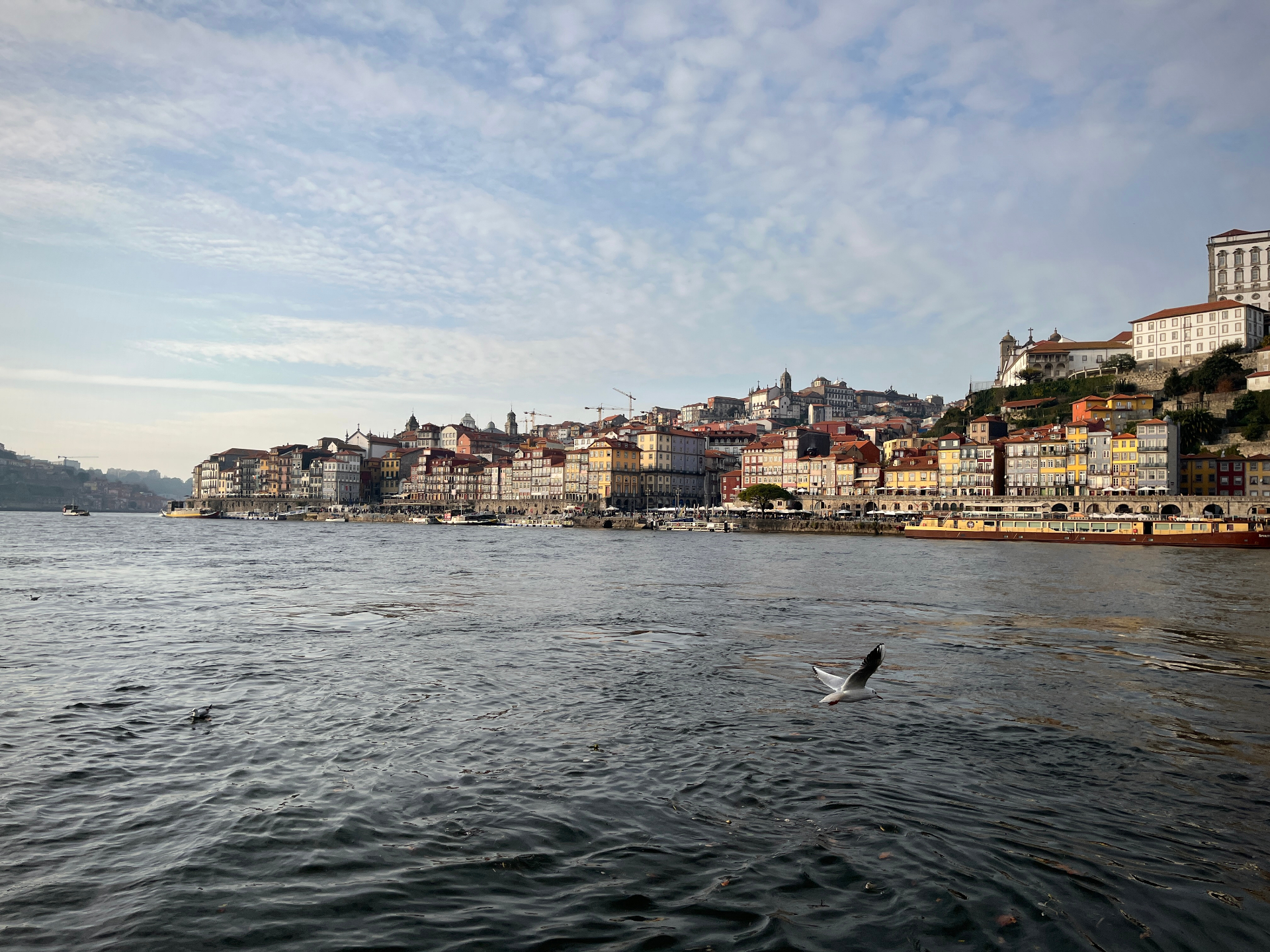 Travel photo 5